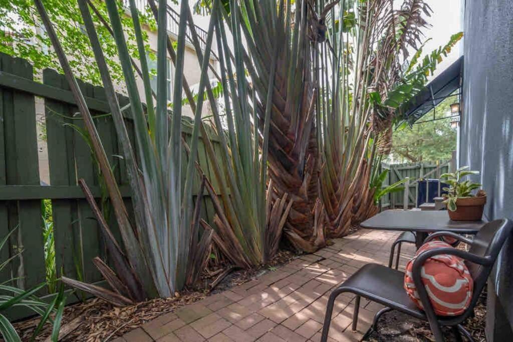 Nawlins Vibe With Rooftop Verandah Near Riverwalk And Downtown Tampa Exteriér fotografie